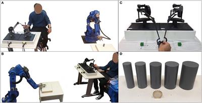 Visuomotor Resolution in Telerobotic Grasping with Transmission Delays